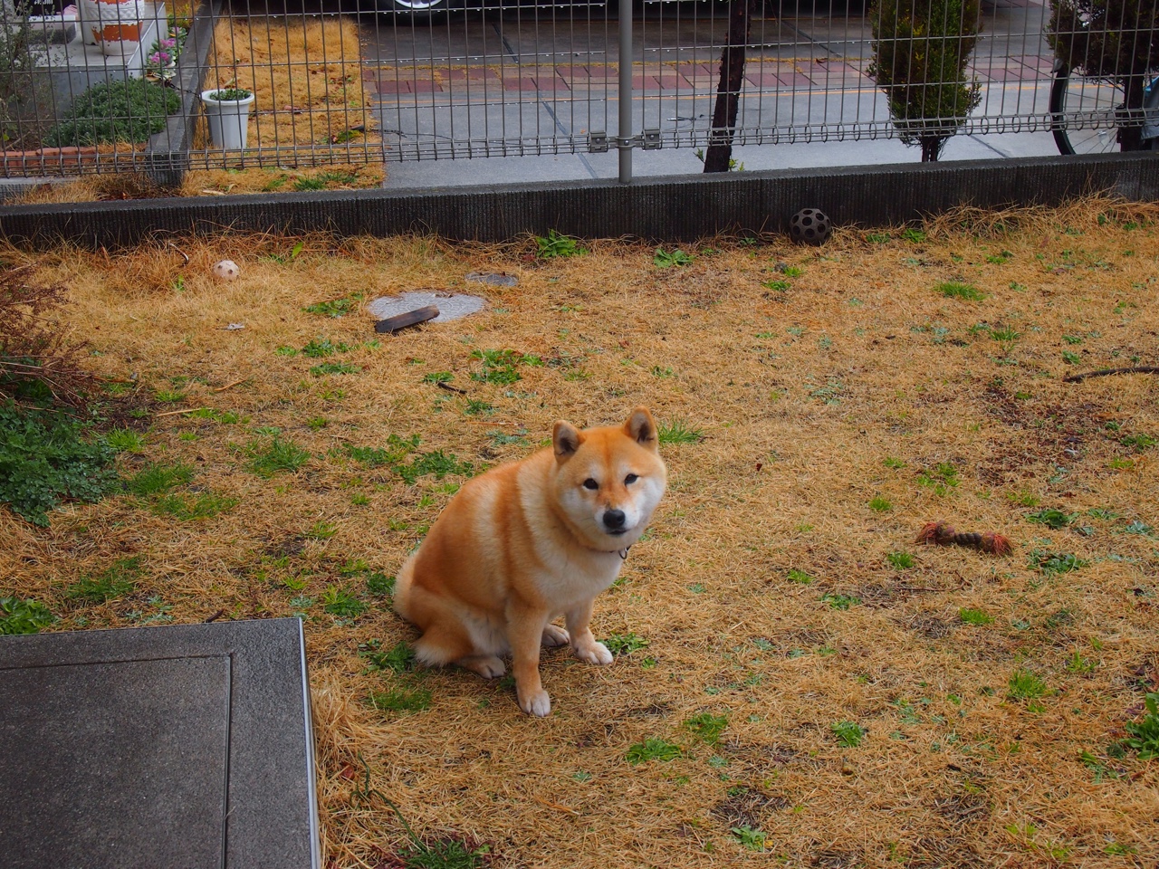 JIUYOU GAMING-“十万火急！紧张救援现场最感人瞬间”，十万火急救火车