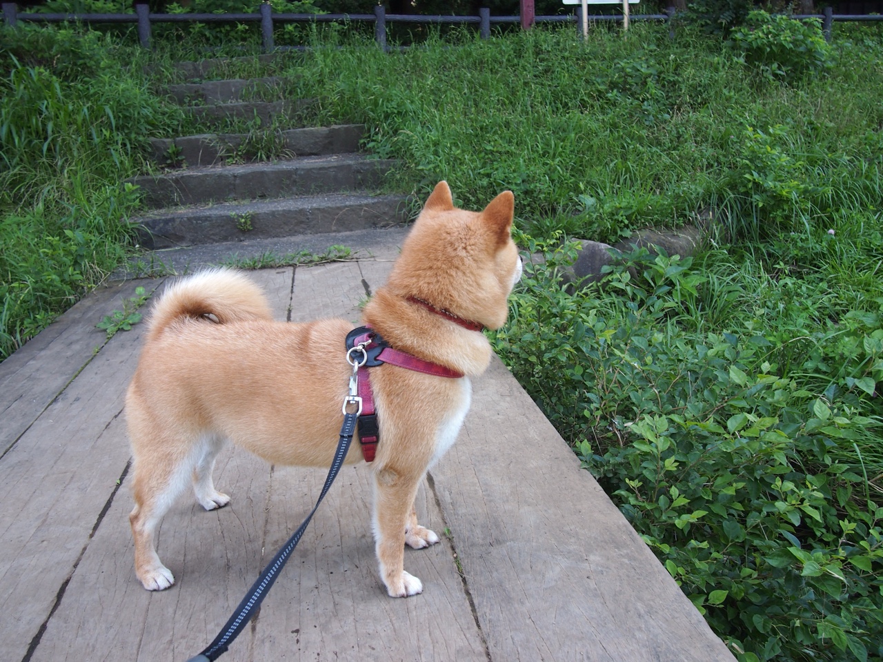 九游登录中心-【击球规则揭秘】打者如何在比赛中创造出色表现？，击球动作的四个基本环节