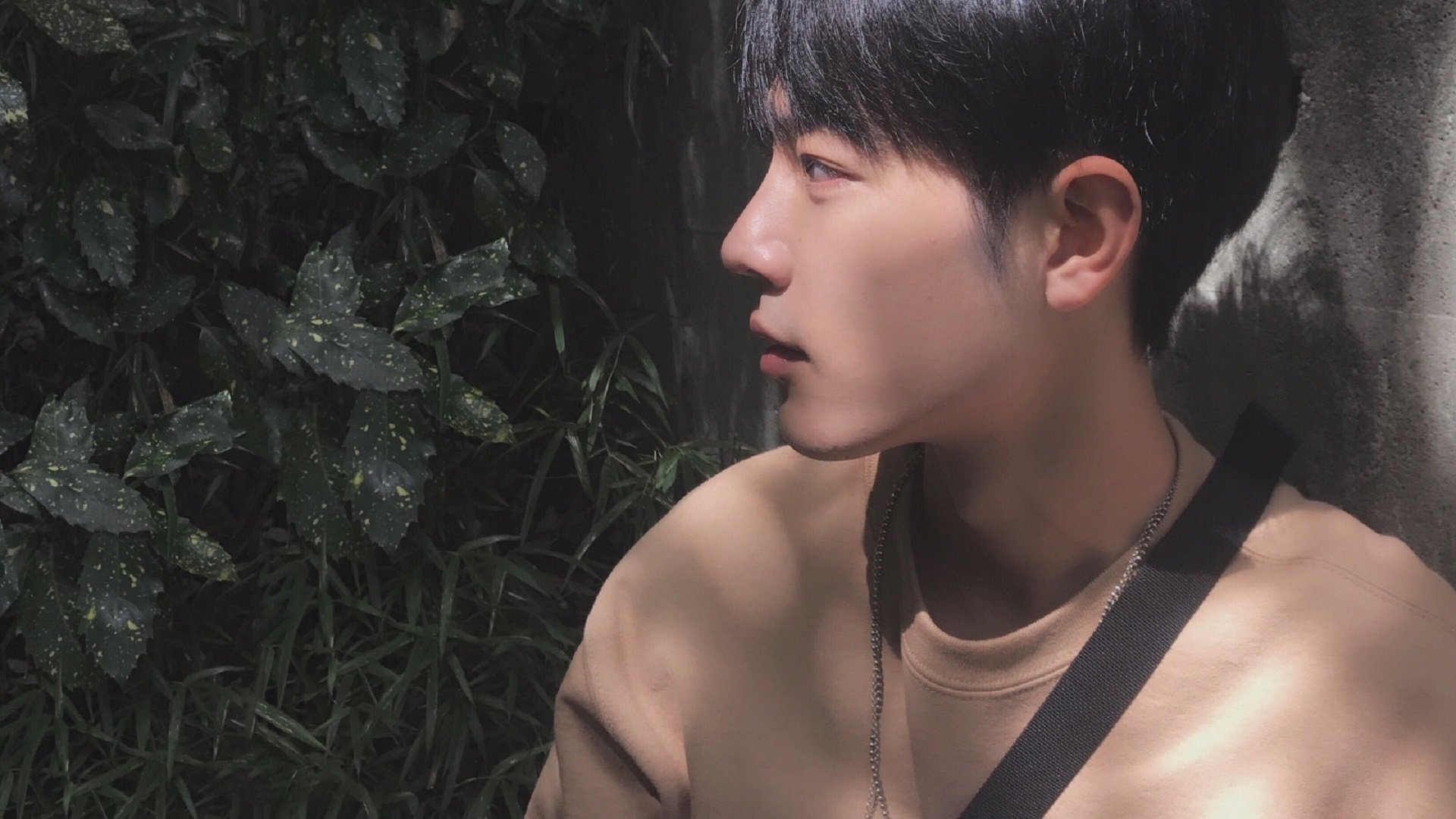 中国女队以3_0战胜日本队，连续第五次获得亚运会女子团体冠军。