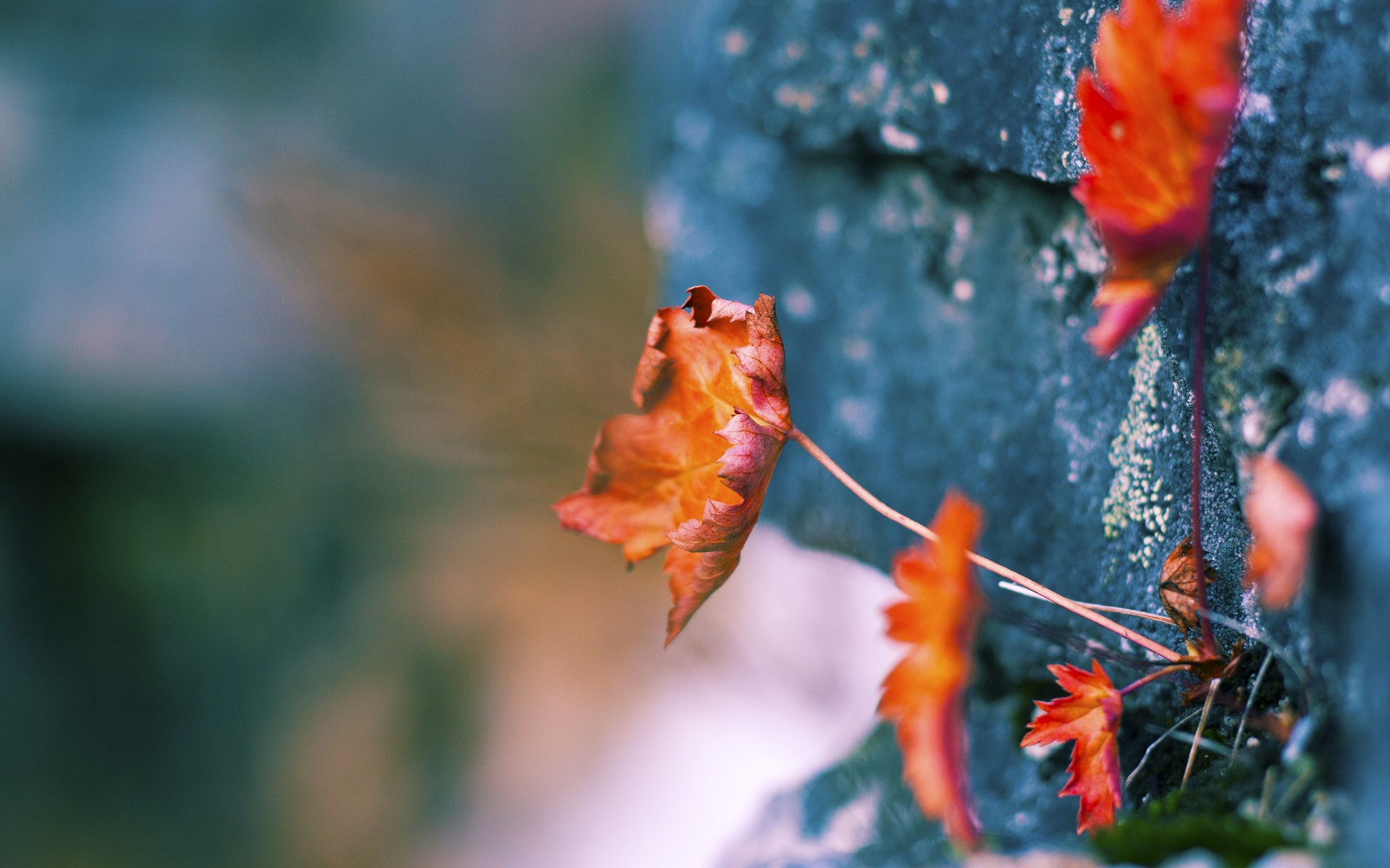 九游下载安装-从失败中崛起：他们是如何逆转局势的？，从失败中站起来