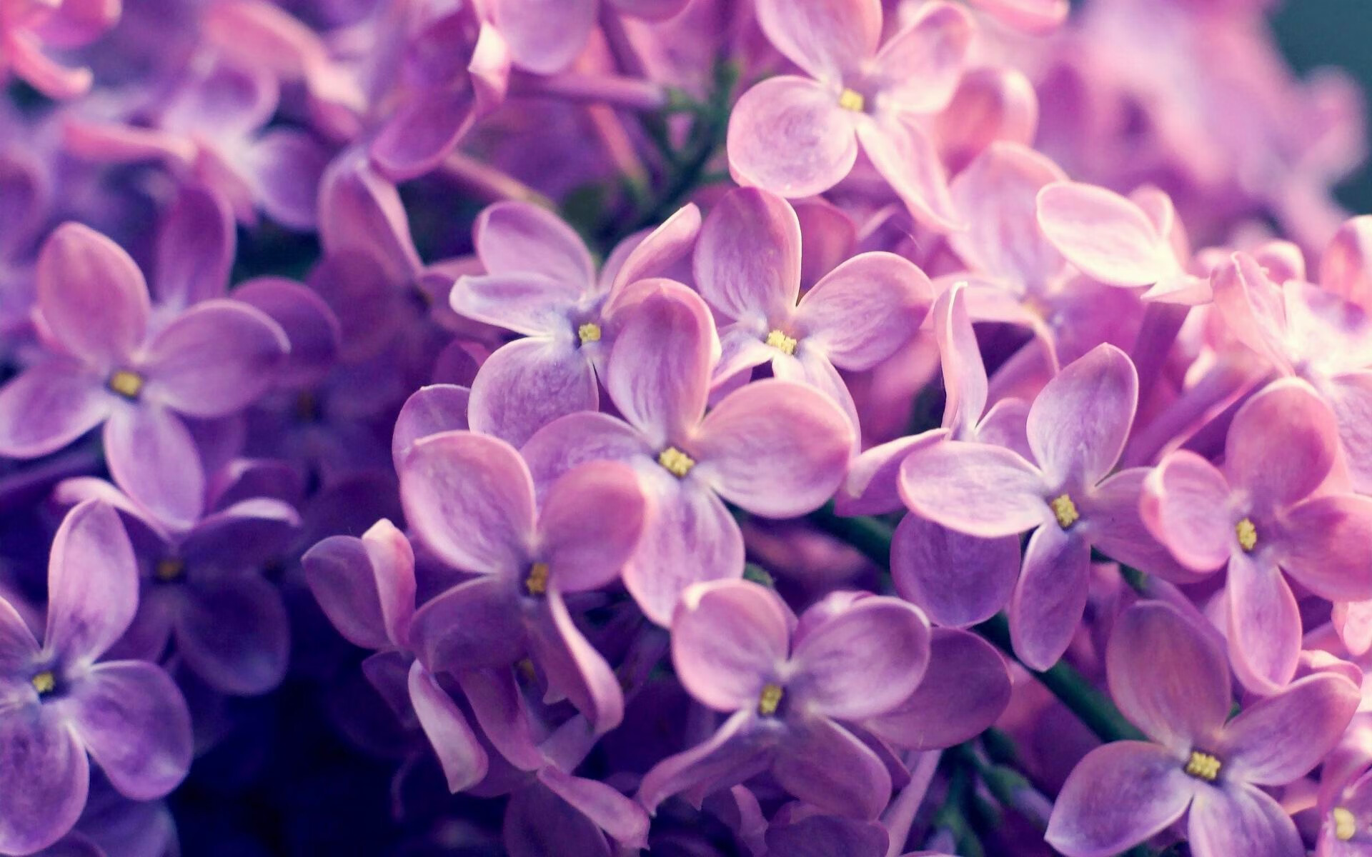 JIU YOU GAME-尤文图斯防守反击战术：成功限制对手主攻线，尤文图斯后防线组合