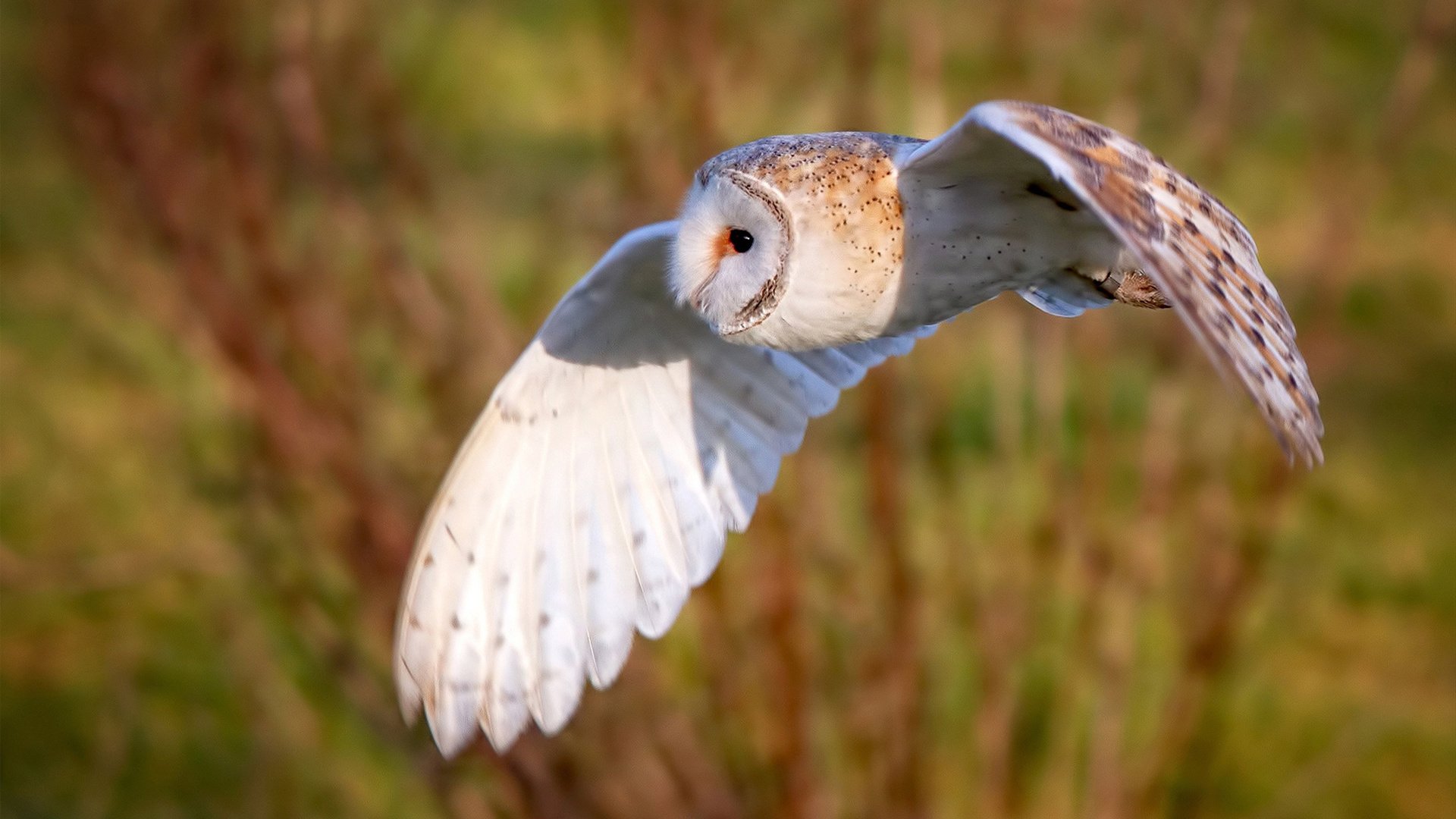 九游网页版入口-皇马快速反击与防守反击结合，战术多样化逐步溶解对手，皇马防反视频