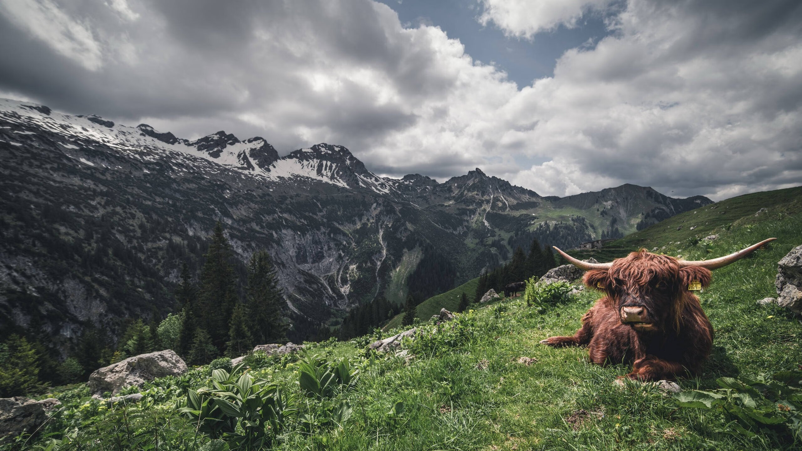 -Aster选手个人荣誉榜添新星，astar名单