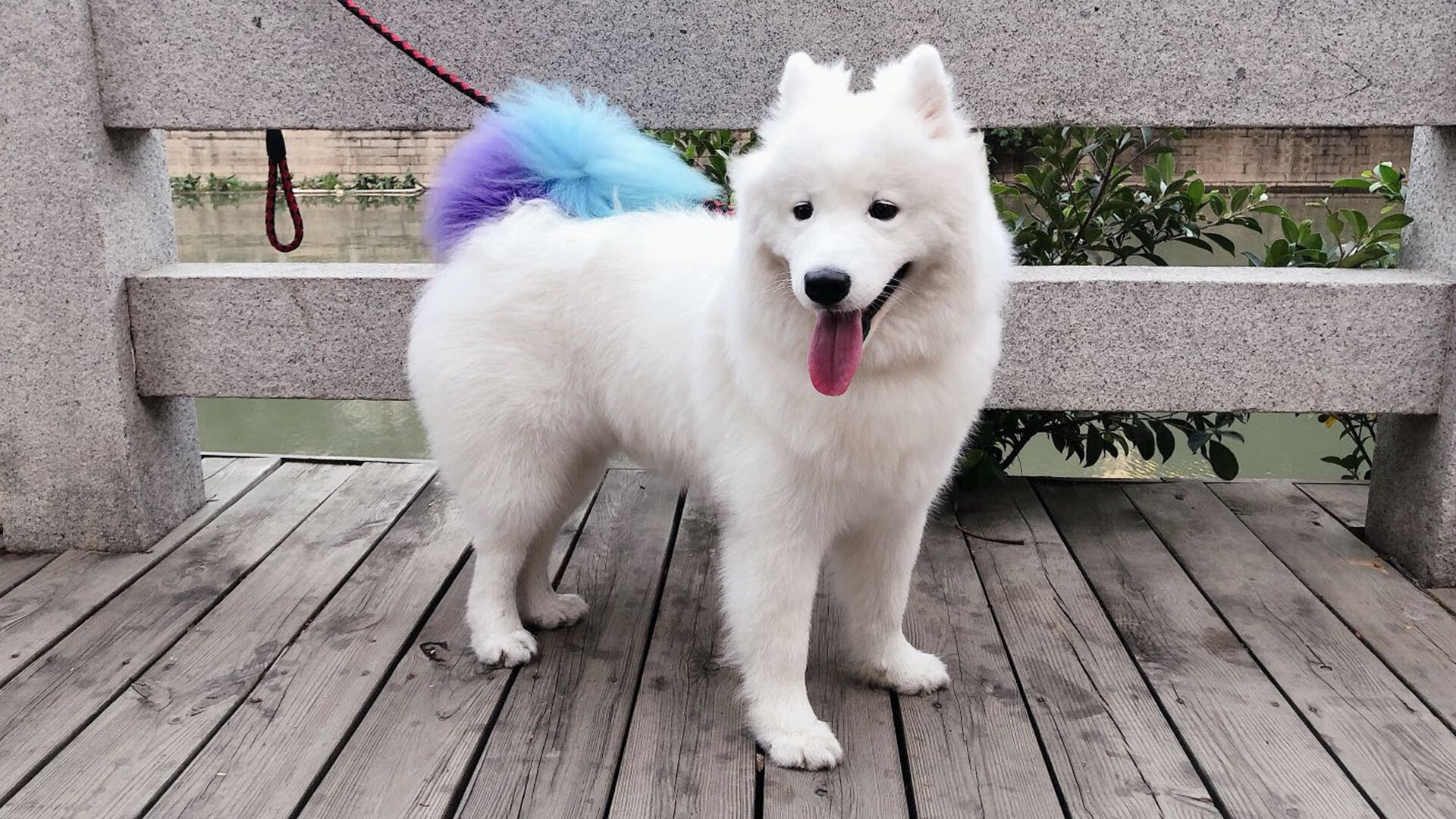 兰斯是否能将青年才俊转化为稳定战力,兰斯强吗