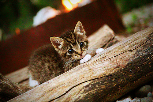 九游下载官网-快船第四节发力连胜继续，快船第三场
