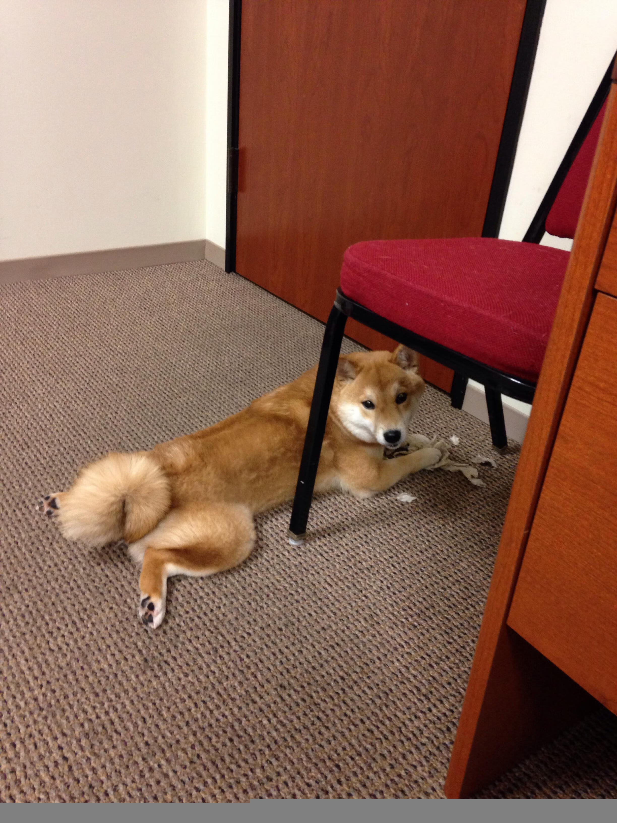 欧国联冠军争夺激烈,胜者将尽夺新,欧国联冠军名单