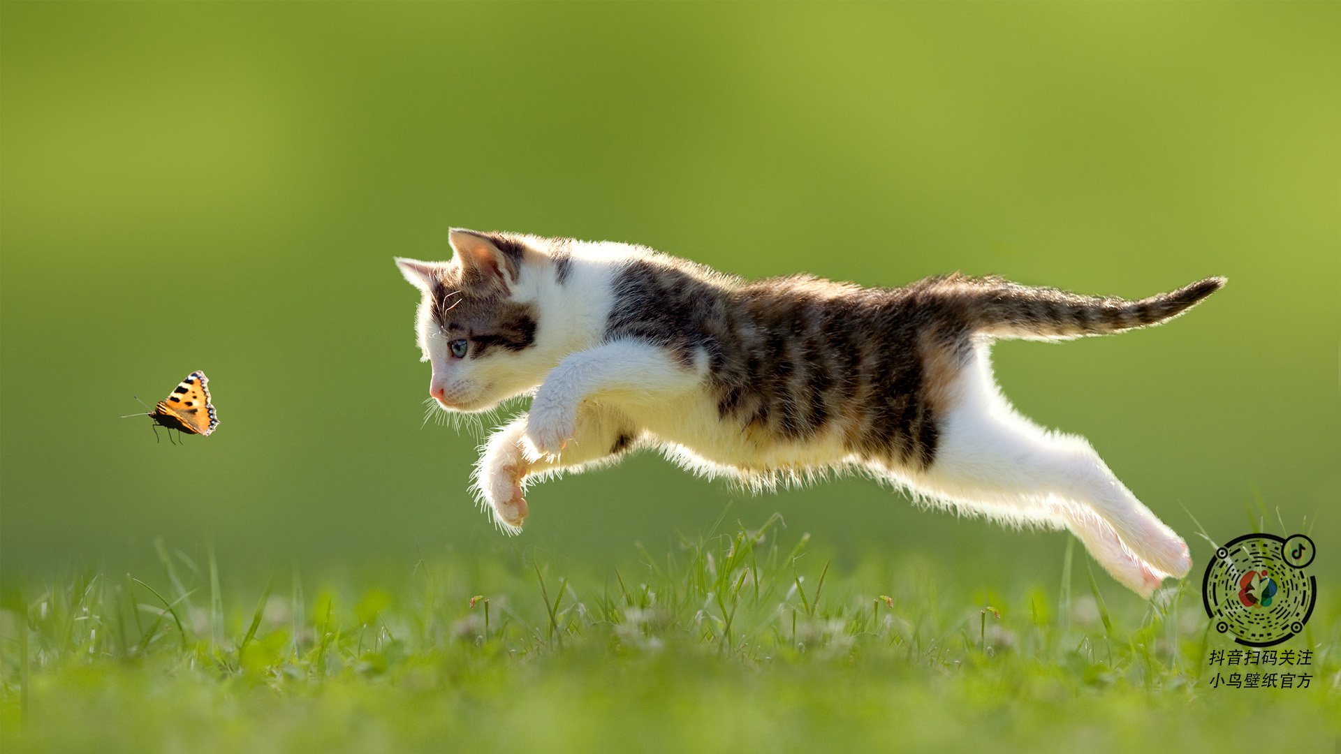 JiuyouAPP下载-格鲁吉亚队备战欧洲锦标赛势在必得，格鲁吉亚为什么参加欧洲杯