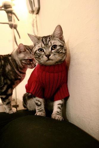 九游APP官网-欧洲足球冠军联赛淘汰赛阶段精彩继续，2021欧洲杯淘汰球队