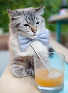 九游官网下载电脑版-爱沙尼亚球员伤愈归队，备战科索沃国脚，爱沙尼亚超