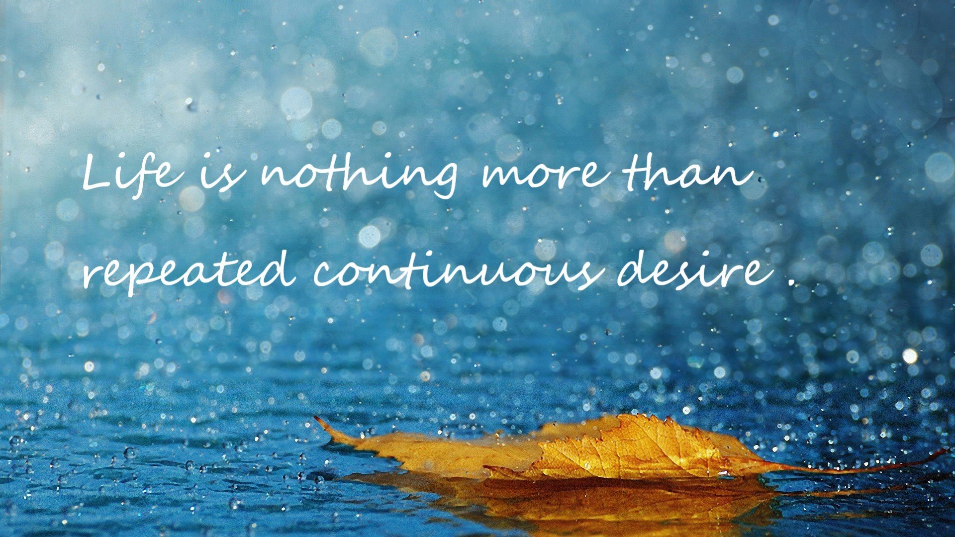 维达德卡萨布兰卡青训球员升入一线队,展现潜力,航拍卡萨布兰卡