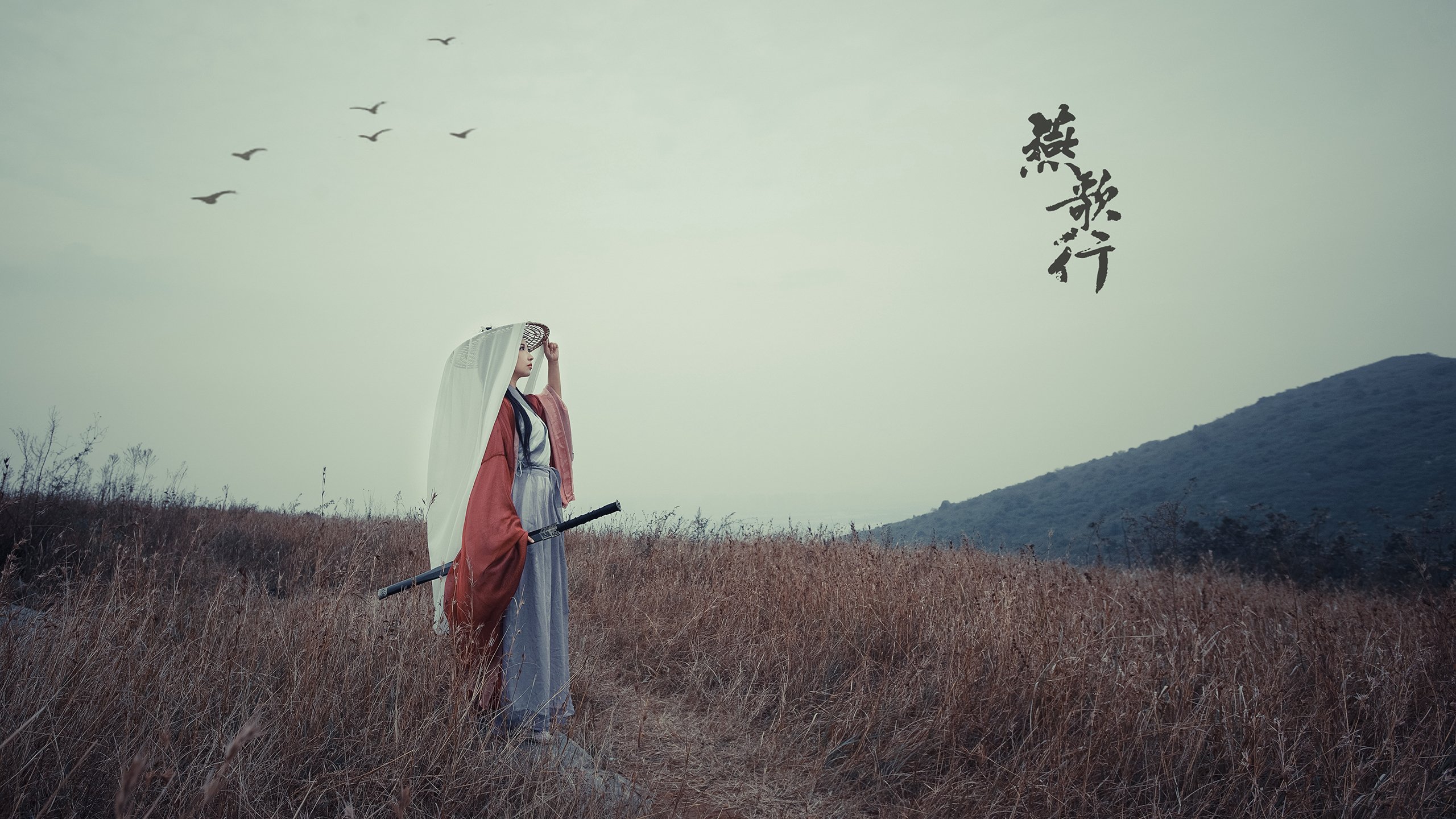 葡萄牙联赛顶级对决波尔图主场击败本菲卡,葡萄牙波尔图攻略