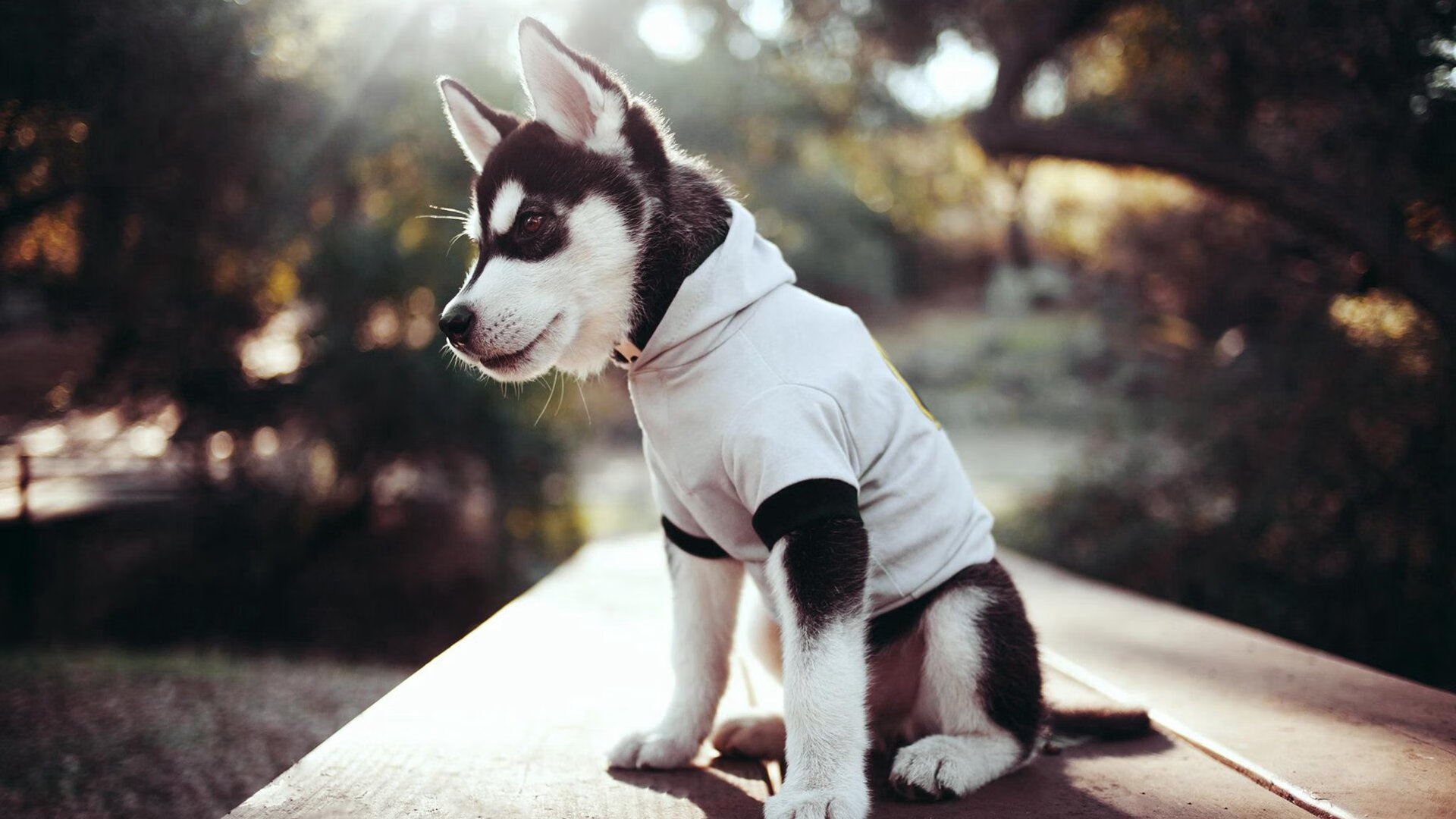 九游娱乐官网 (jiuyou)-雷恩队客场之旅，需拼尽全力争取胜利，雷恩队老板