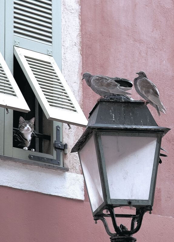 九游官网pc-马竞是否会因阵容老化失去竞争力，马竞出场阵容