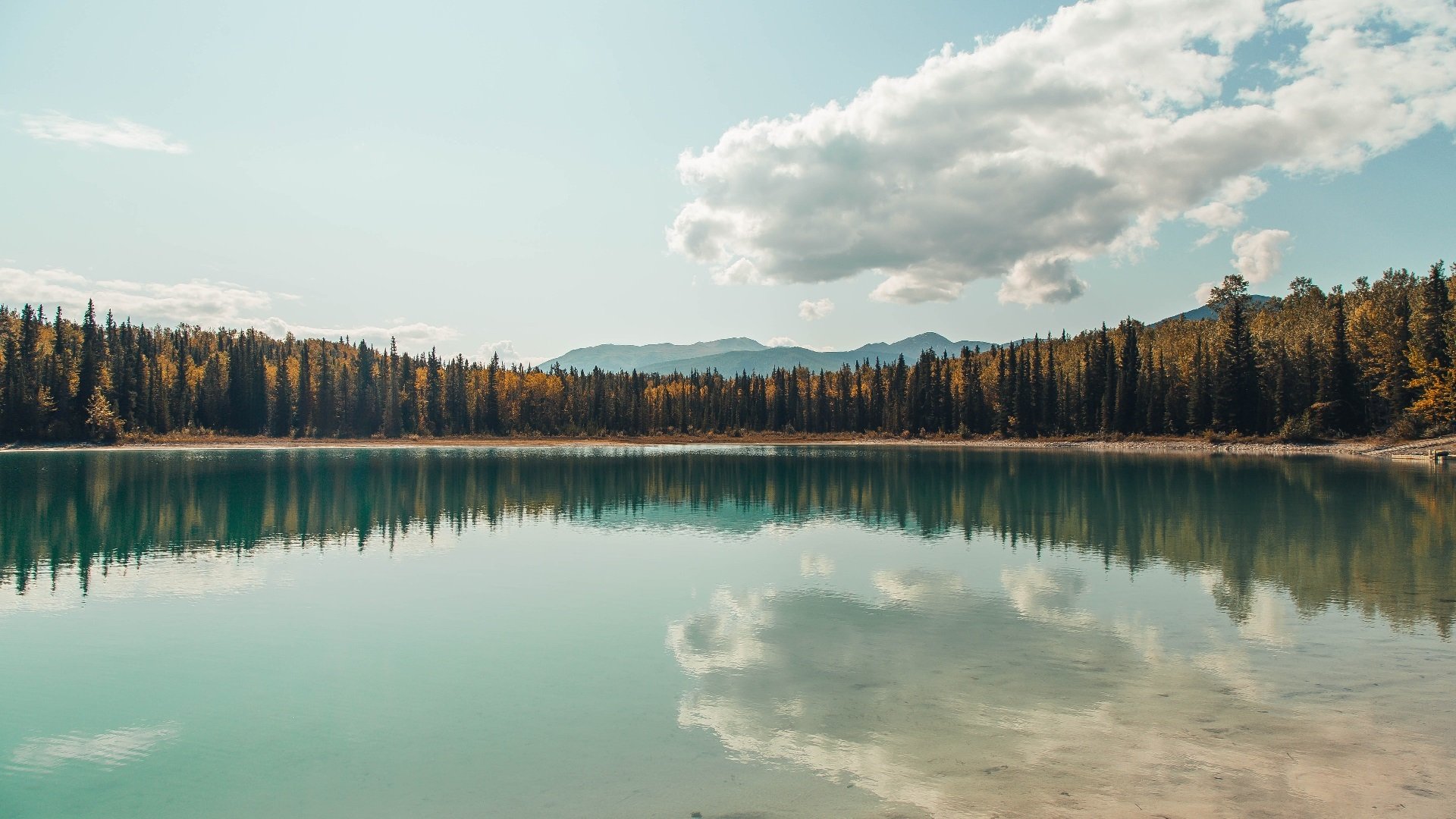 九游娱乐(jiuyou)官网-中小学体育教师编制配置合理性研究，中小学体育教师编制考的内容一样吗