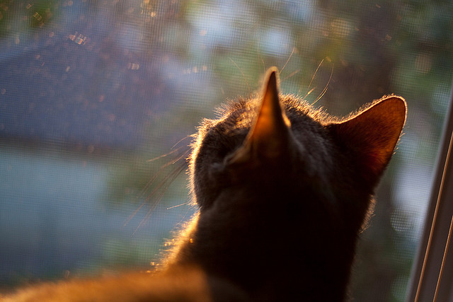 全国青少年体育舞蹈大赛青春光彩耀眼，全国青少年舞蹈展演