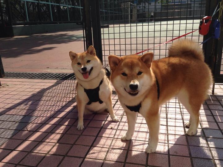 九游娱乐官网 (JIUYOU)-新闻中心召开第二季度经营会议，二季度经营分析会