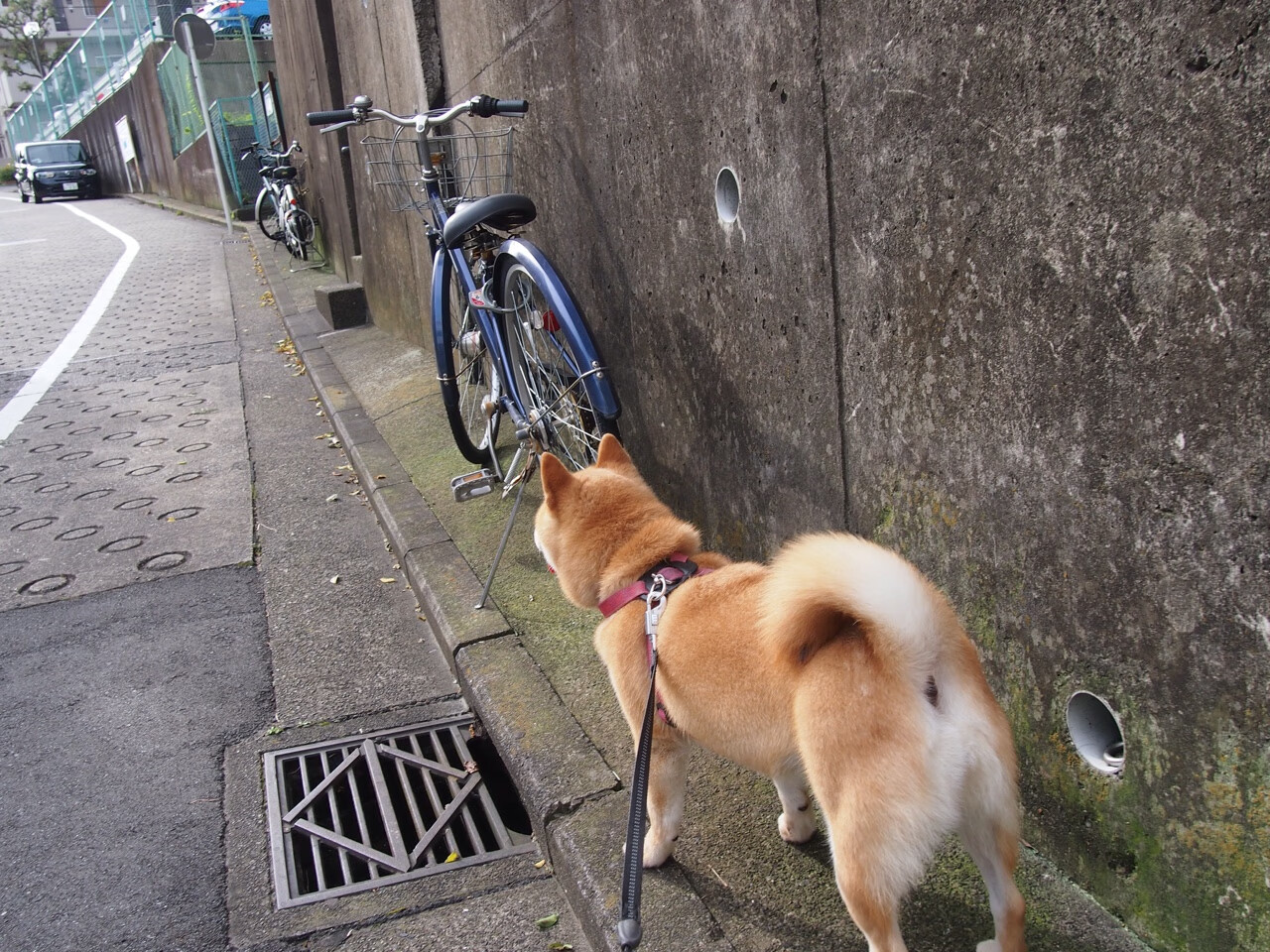九游游戏中心官网-中国香港队赛制创新：如何通过新规则提升整体作战能力，香港队再添一枚金牌
