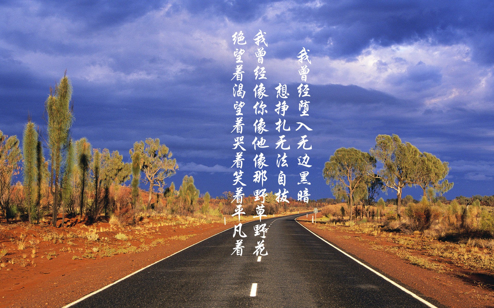 职业联赛缺乏青少年观众连接机制,没职业联赛