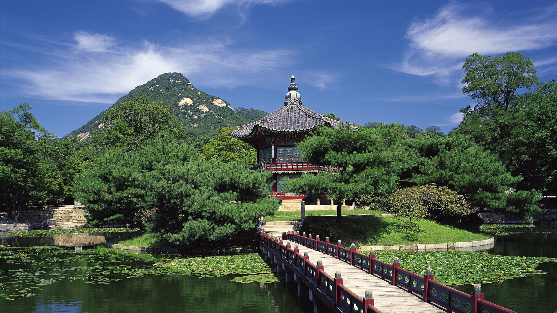 国王前锋带伤训练展现不屈斗志,国王前锋带伤训练展现不屈斗志的视频