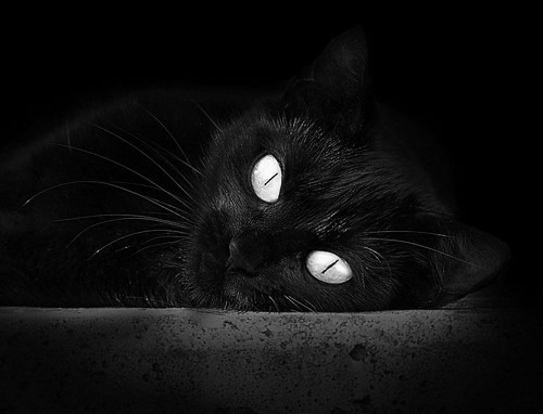 巴尔:凭借出色的防守意识和球场阅读能力,他是全黑队的防守中坚