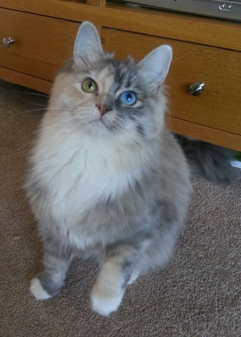 九游娱乐(jiuyou)官方网站-斯洛伐克男篮在欧洲预赛中争夺资格，迈向更广舞台，斯洛伐克男篮实力