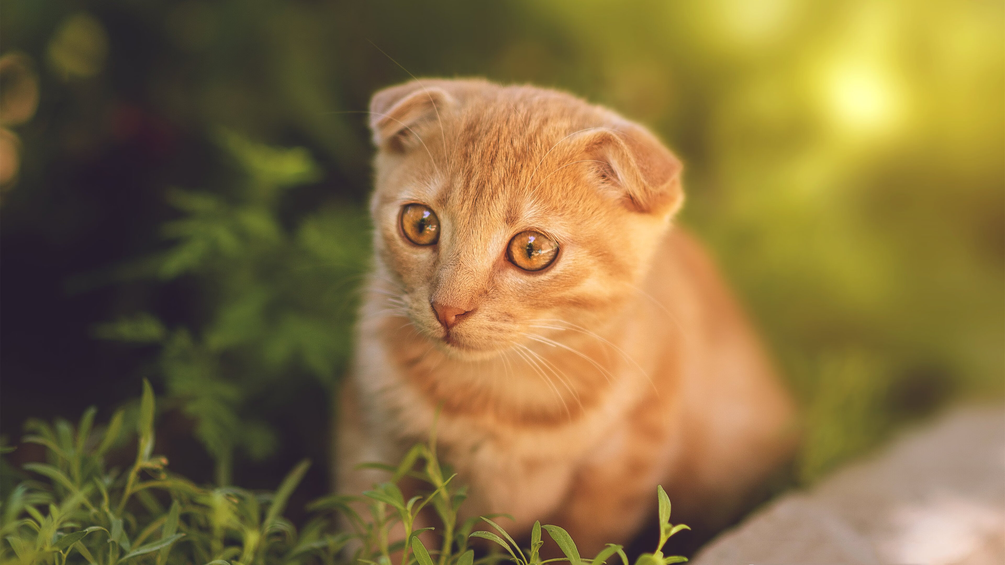 九游app下载中心-球队在连续客场作战中展现韧性战绩稳定赢得外界赞誉，球队连胜