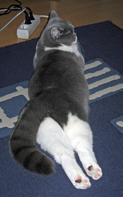 九游娱乐官网 (jiuyou)-英超冲刺战：悬念逐渐升温！，英超本轮集锦视频