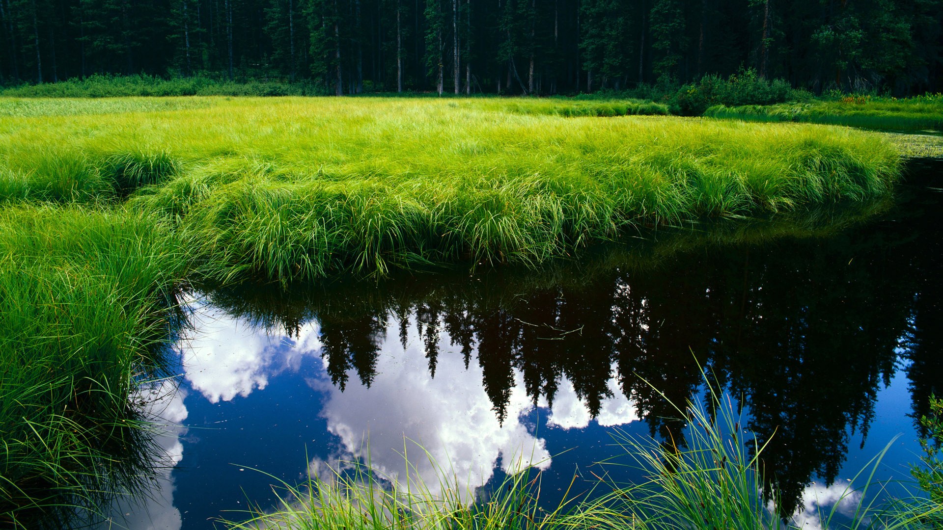 英超对决:最后一分钟的天外飞仙,英超经典对决