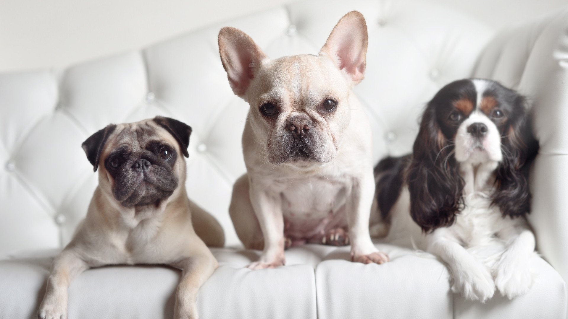 九游-阿森纳青训不断成长，未来之星逐步成熟