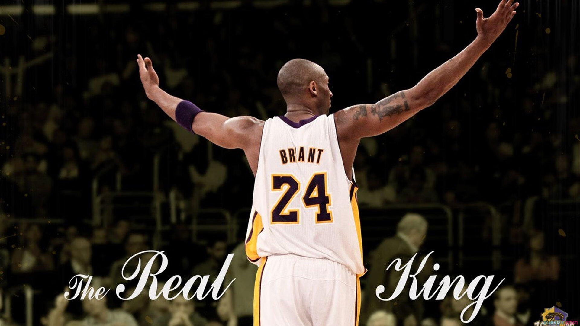 九游sports-央视篮球直播平台开通，赛事覆盖面日益扩大，cctv篮球频道节目表